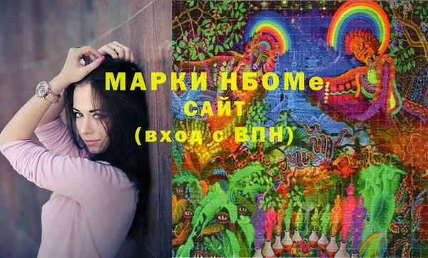 винт Новозыбков