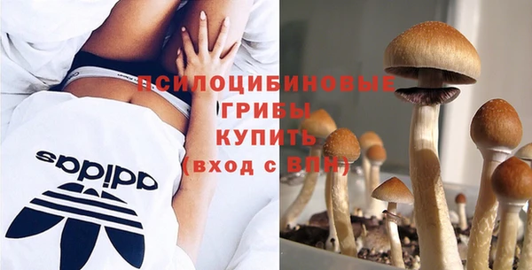 винт Новозыбков