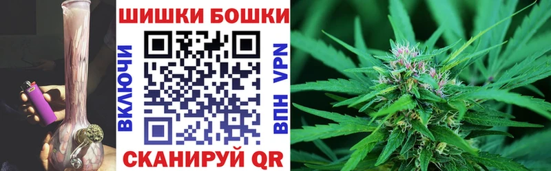 Купить  Кизляр  Конопля сатива 
